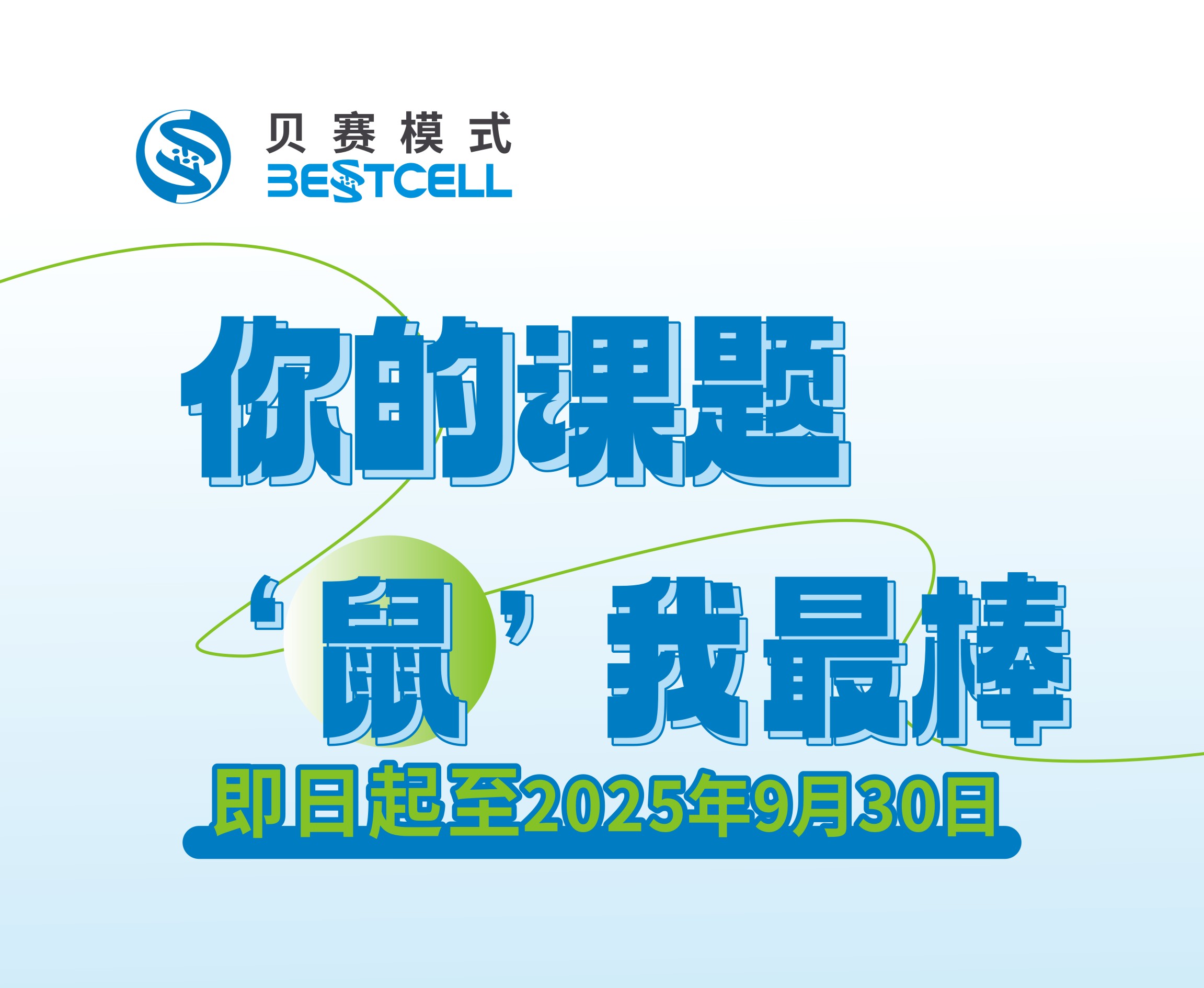 你的课题 ‘鼠’我最棒