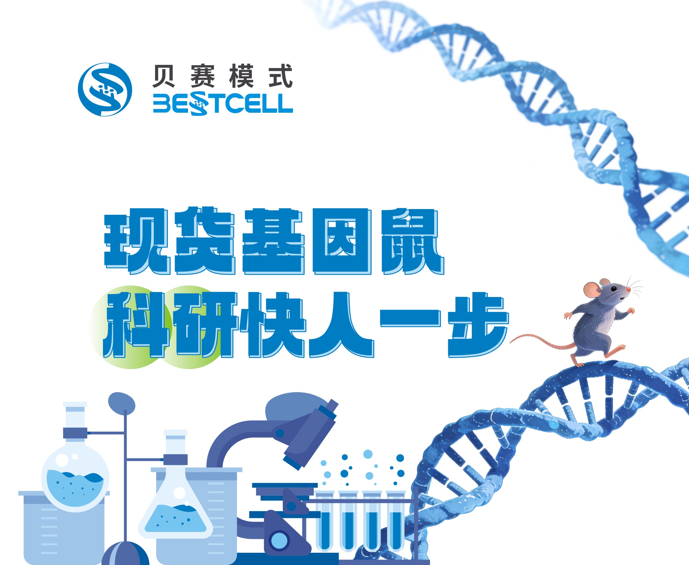 现货基因鼠科研快人一步